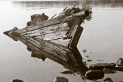 hasselblad25