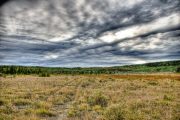 imgp0635_3_4