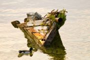 wreck-tobermory-harbour