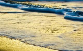 header-IMGP1490